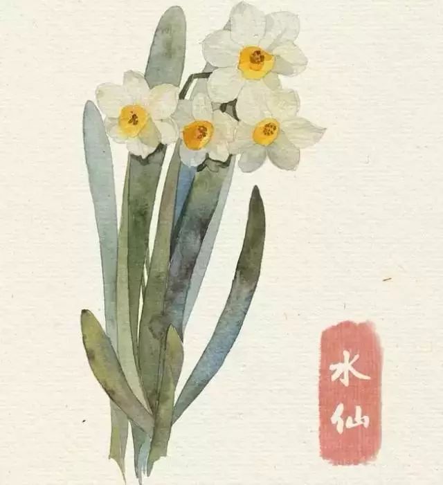 40款绝美水彩花卉手绘插画赏析