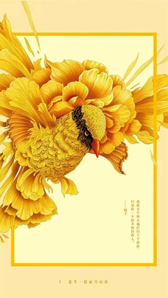 十二花令插画图片：以花为媒四季流转