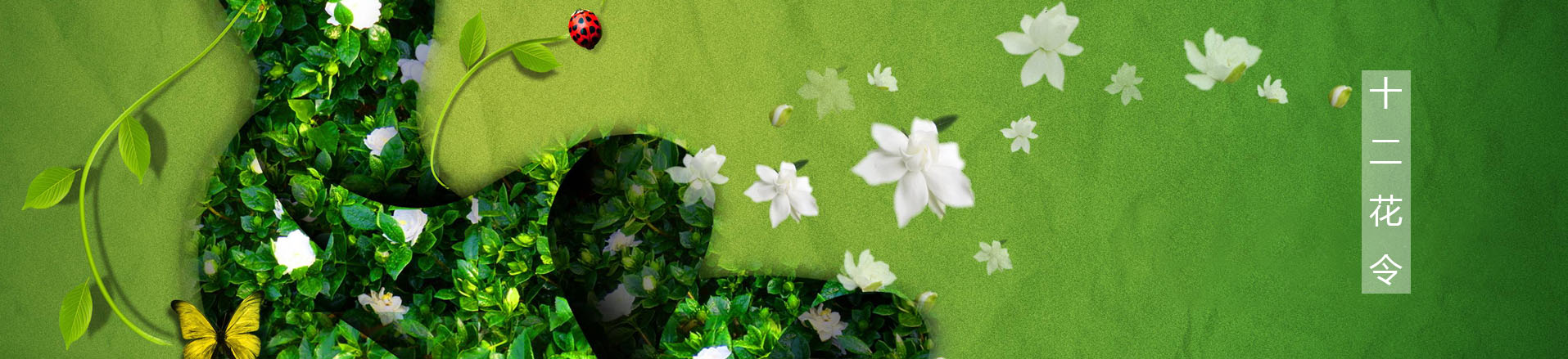 十二花令插画图片：以花为媒四季流转