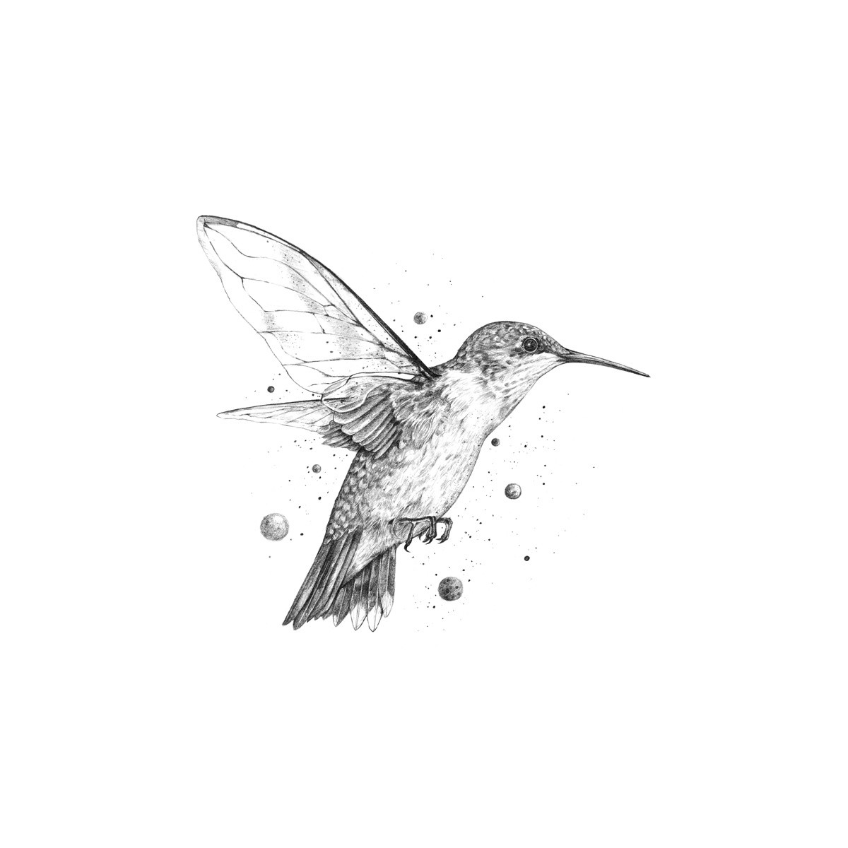 手绘动物插画设计，黑白创意插画图片