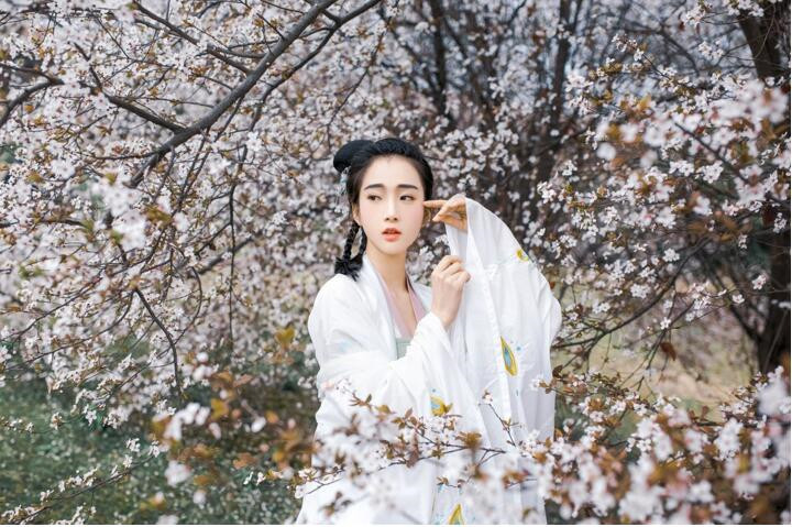 樱花树下古风女子头像，真人古风头像大全