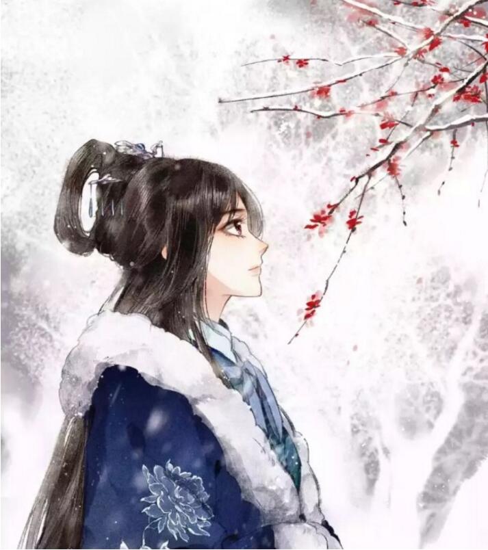 古风漫画《神医嫡女》漫画图片