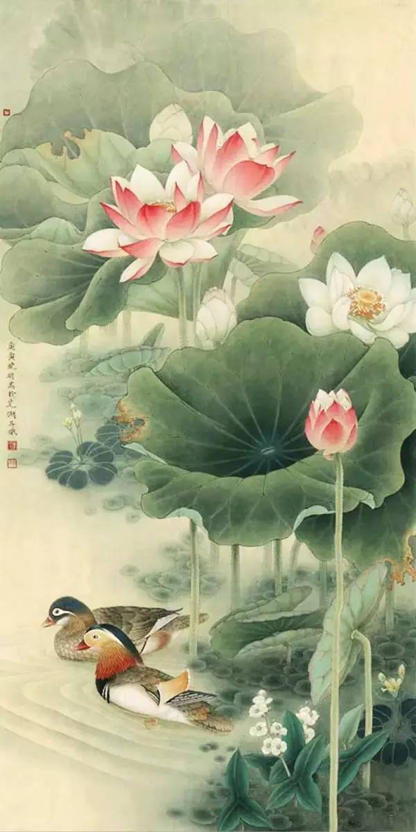 鸳鸯戏水图集(18张)，好漂亮的国画图片