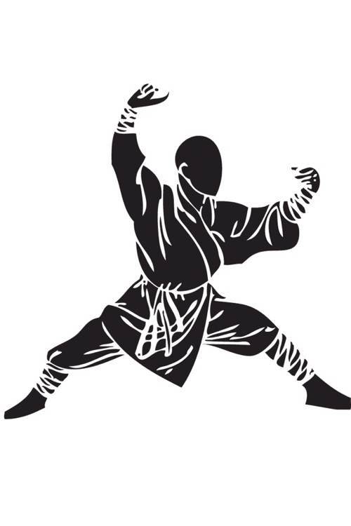 武术招式：事了拂衣去，深藏身与名